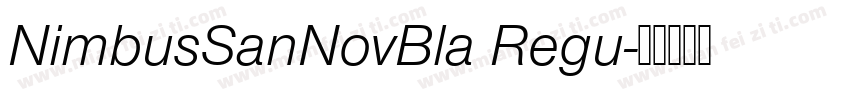NimbusSanNovBla Regu字体转换